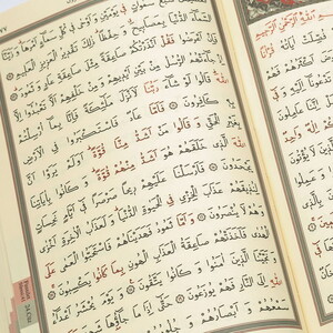  Metal Cami Desenli Kadife Kaplı Lüks Kutulu  Kuran-i Kerim Seti - Vizon(22*22*12 cm, 1450 gr)